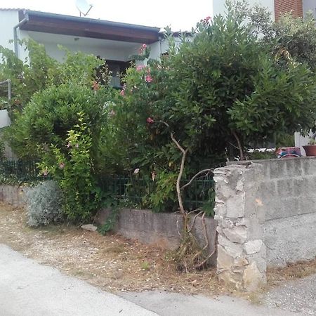 Apartmani Rosanda 2 Petrčane Dış mekan fotoğraf